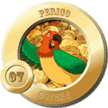 7 - PERICO