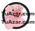 20 - COCHINO