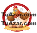 25 - GALLINA
