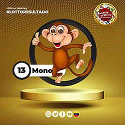 13 MONO