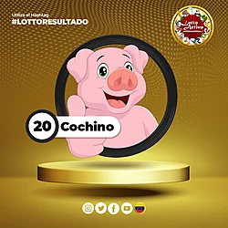 20 COCHINO