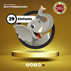 29 ELEFANTE