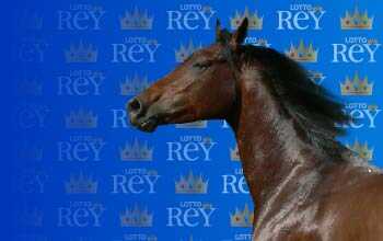 Lottorey resultado del sorteo