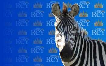 Lottorey resultado del sorteo