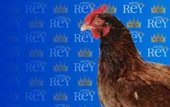 Lottorey resultado del sorteo