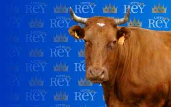 Lottorey resultado del sorteo