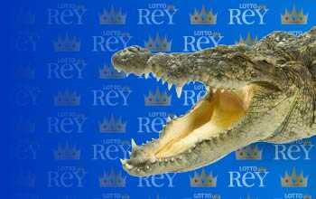 Lottorey resultado del sorteo