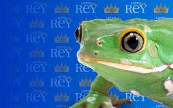 Lottorey resultado del sorteo