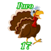 17 - PAVO