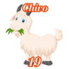 19 - CHIVO