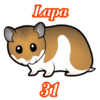 31 - LAPA