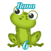 6 - RANA