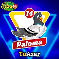 Selva Plus resultado del sorteo