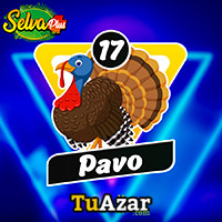 PAVO