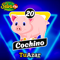 COCHINO