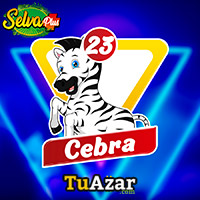 CEBRA