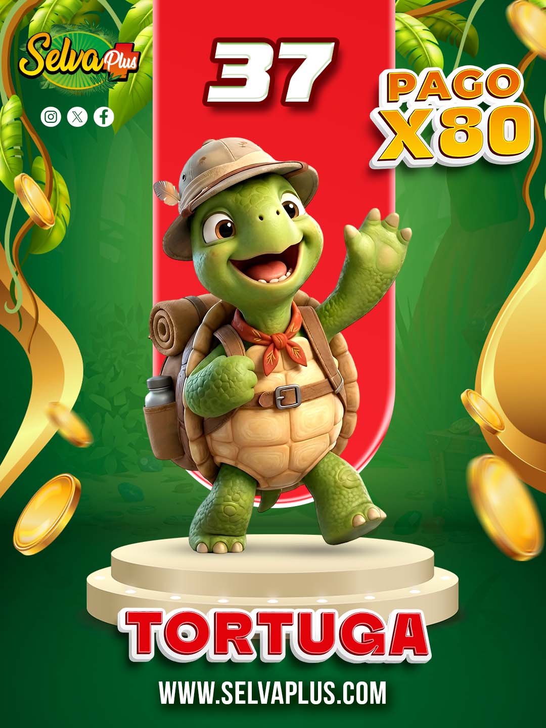 37 TORTUGA