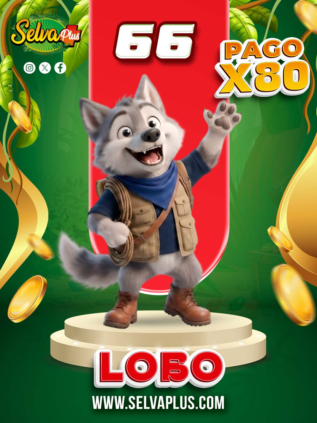 66 LOBO