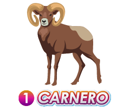 CARNERO