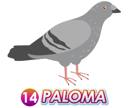 PALOMA