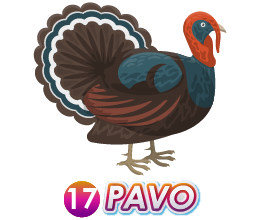 PAVO