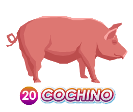 COCHINO