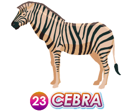 CEBRA