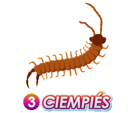 CIEMPIES