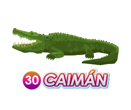CAIMAN