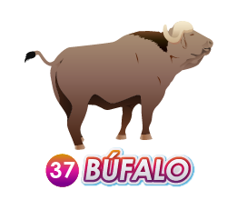 BUFALO