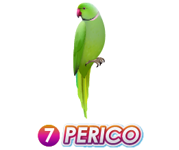 Triple Popular resultado del sorteo