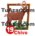 CHIVO