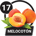 MELOCOTÓN
