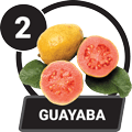 GUAYABA