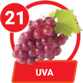 Fruita Gana resultado del sorteo