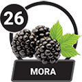 MORA